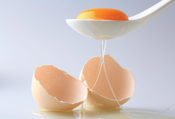 无菌蛋并非完全没菌，营养价值与普通蛋相当